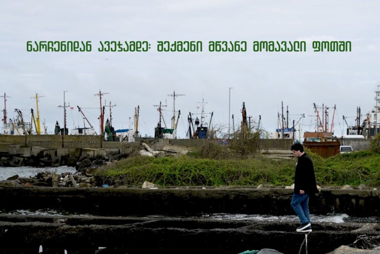 ნარჩენიდან ავეჯამდე: შექმენი მწვანე მომავალი ფოთში