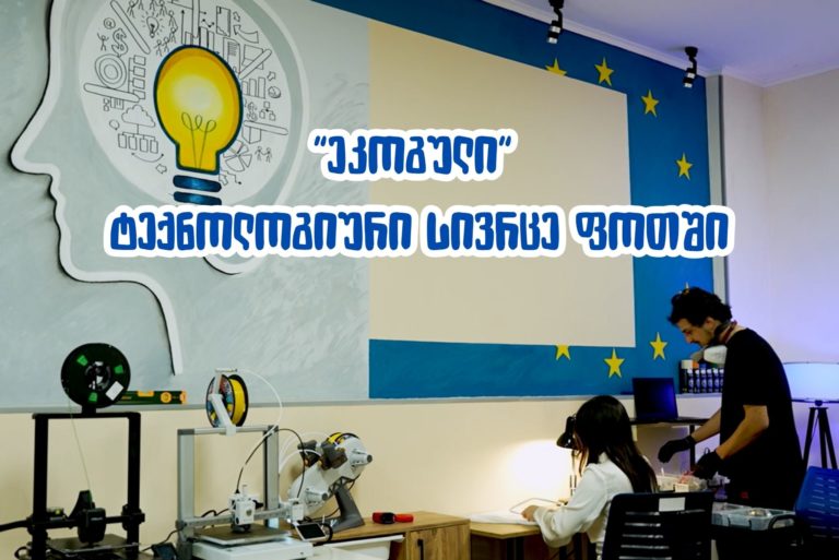 ერთად შევქმნათ ტექნოლოგიური სივრცე ფოთში – “ეკოგული”